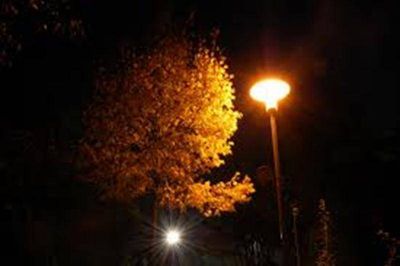 Este s�bado el Intendente inaugura nueva iluminaci�n