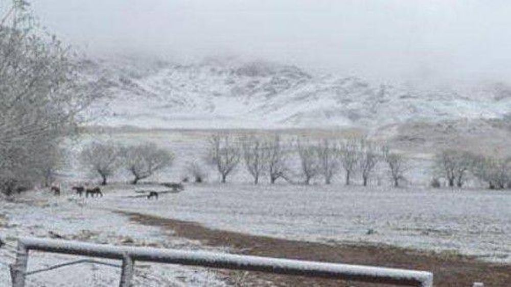 Taf� del Valle se cubri� de nieve