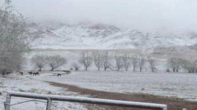 Taf� del Valle se cubri� de nieve
