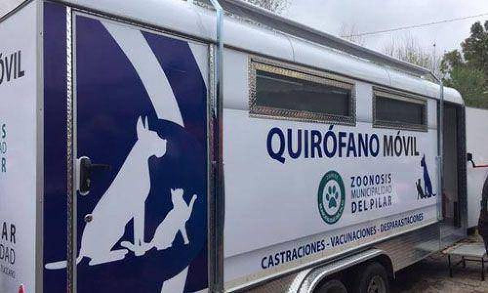 Crear�an hospitales p�blicos para mascotas