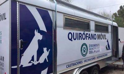 Crear�an hospitales p�blicos para mascotas