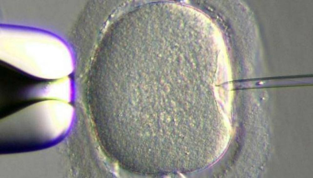 Fertilizaci�n: ya comenzaron los tratamientos gratuitos