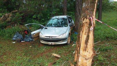 Un autom�vil se despist� y dio contra un �rbol: muri� un joven