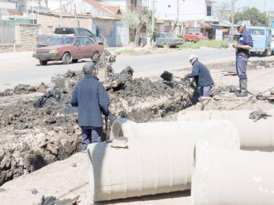 Operativos de limpieza y de erradicaci�n de basurales