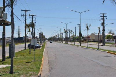 Nuevas palmeras y refacciones en la fuente