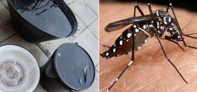 Aumenta el riesgo de dengue, chikungunya y zika