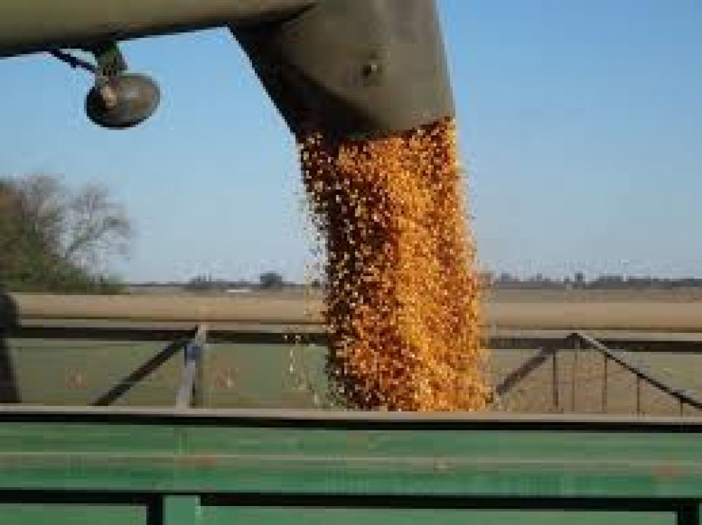 Berdini abog� por un cambio �muy r�pido� en materia productiva