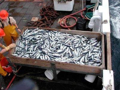 Pesca: �No queremos que pase lo mismo que en 2001�