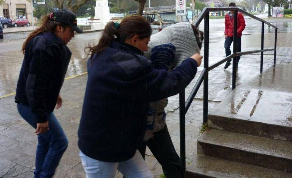 Ten�a captura internacional por un homicidio: la detuvieron en Balcarce
