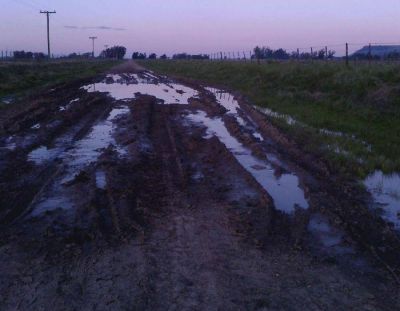 Vecinos piden la pronta reparaci�n de un camino rural
