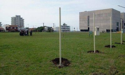 Solicitan la transferencia al municipio de la 