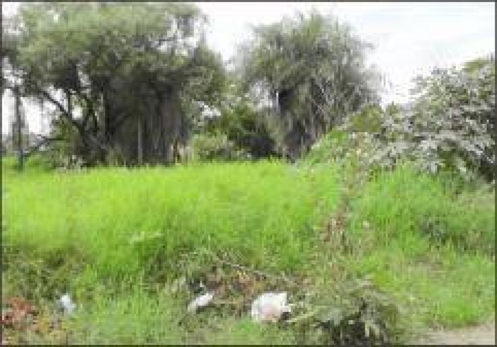 Reclaman operativos de limpieza en la Chacra 134
