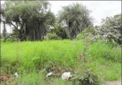 Reclaman operativos de limpieza en la Chacra 134