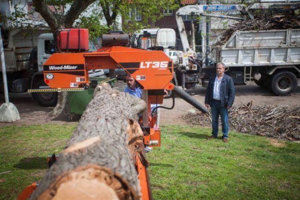 Presentaron iniciativa para el aprovechamiento de la madera de poda