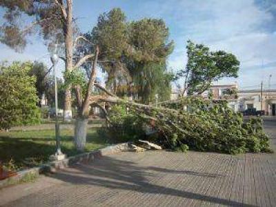 Tormenta de viento y tierra deja sin energ�a ni agua a Tinogasta