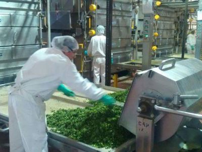 La f�brica Knorr mostr� c�mo procesa los alimentos en su planta de Guaymall�n: reutiliza el 98% del agua