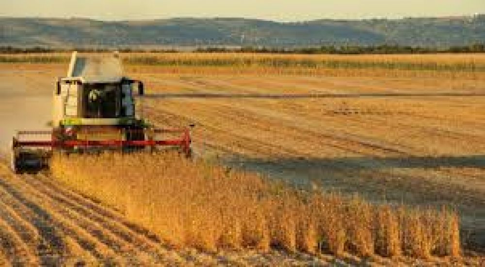 Afirman que, en el 2020, la Argentina podr� alimentar a 600 millones de personas