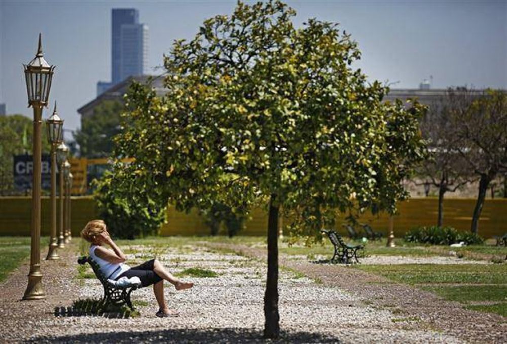 La ciudad tiene un �rbol cada ocho personas, el m�nimo de lo sugerido