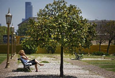 La ciudad tiene un �rbol cada ocho personas, el m�nimo de lo sugerido