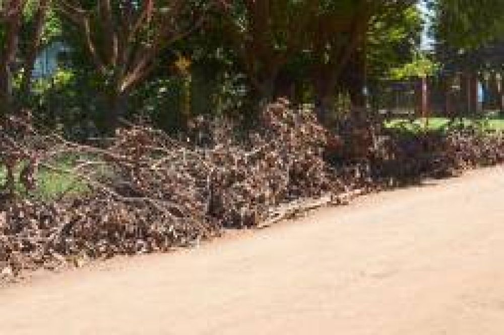 Ramas sin recolectar afectan a vecinos de Aguado y 100