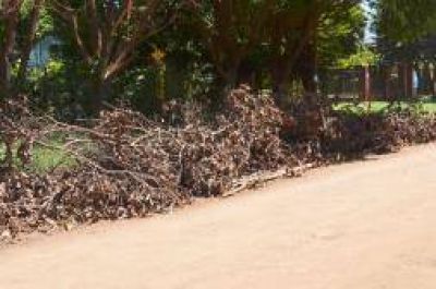 Ramas sin recolectar afectan a vecinos de Aguado y 100