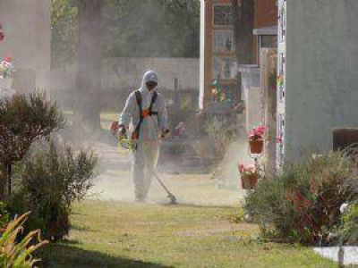 Completan tareas de mantenimiento y limpieza en el cementerio municipal