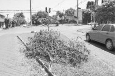 Basura en Tom�s Guido y Blas Parera obstaculiza el paso