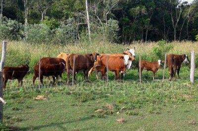 �Hay una nueva expectativa y un humor distinto en el campo�