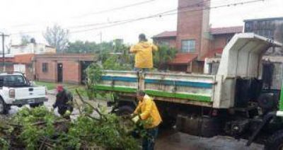 Cayeron 20 �rboles y no hubo evacuados en la capital
