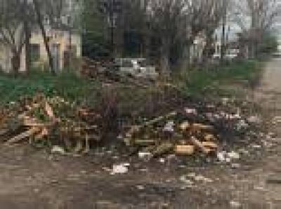 La Plata: Reclaman que el Municipio realice tareas de limpieza y recolecci�n de residuos en la v�a p�blica