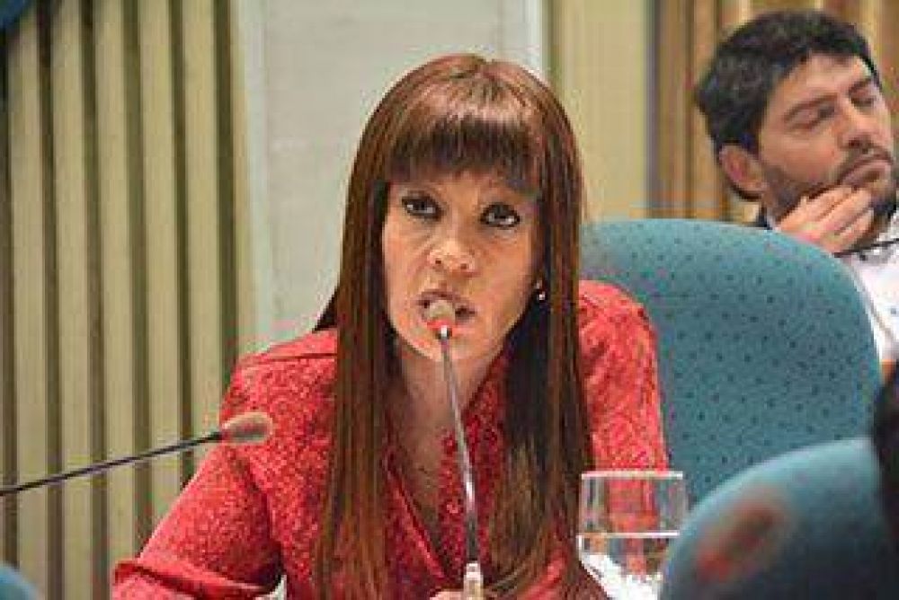�La intenci�n es incorporar el vecino al debate�
