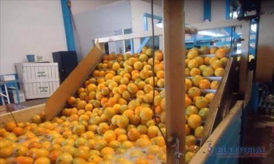 En Corrientes crecieron las exportaciones pero alertan sobre la situaci�n del d�lar