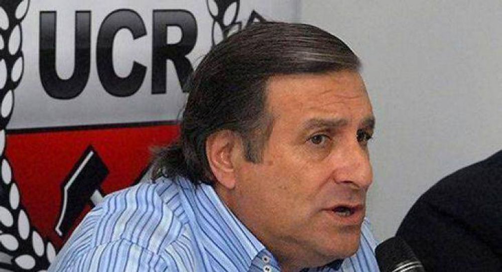 Rozas pasar�a a presidir la UCR