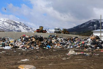 Recicladores: �Estamos en una situaci�n de desamparo total�