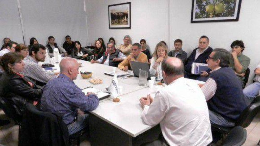 El comit� de empaque de Tucum�n analiz� la campa�a c�trica actual
