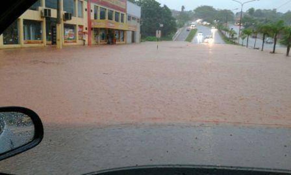 Temporal afect� 250 familias en el centro y sur de Misiones