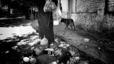 Luj�n: vecinos tapados de basura piden a otros municipios que los auxilien