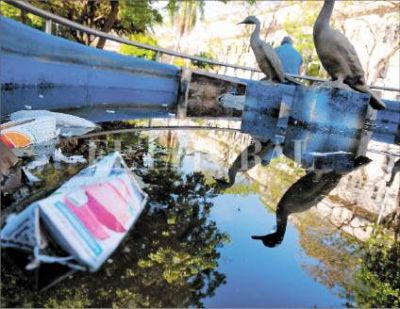 En Santa Fe hay fuentes que se usan como cestos de basura