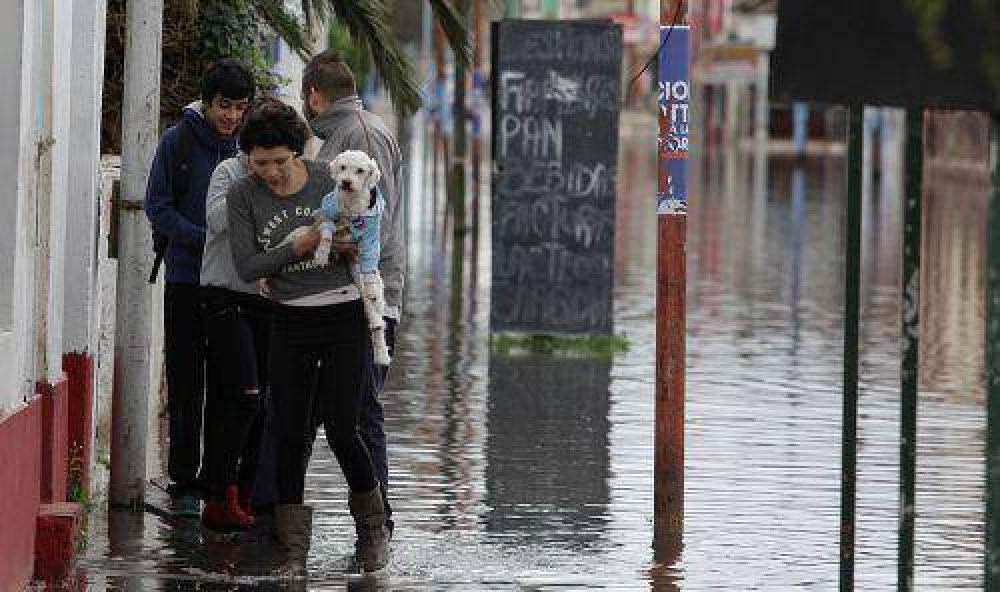 Calles anegadas y �rboles ca�dos por el temporal en el Conurbano
