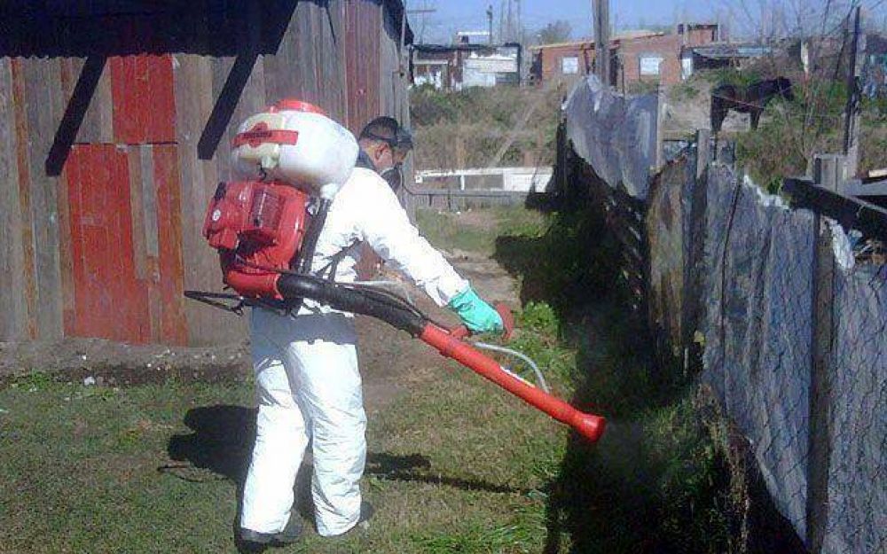 Ante el calor y las lluvias, advierten sobre el dengue