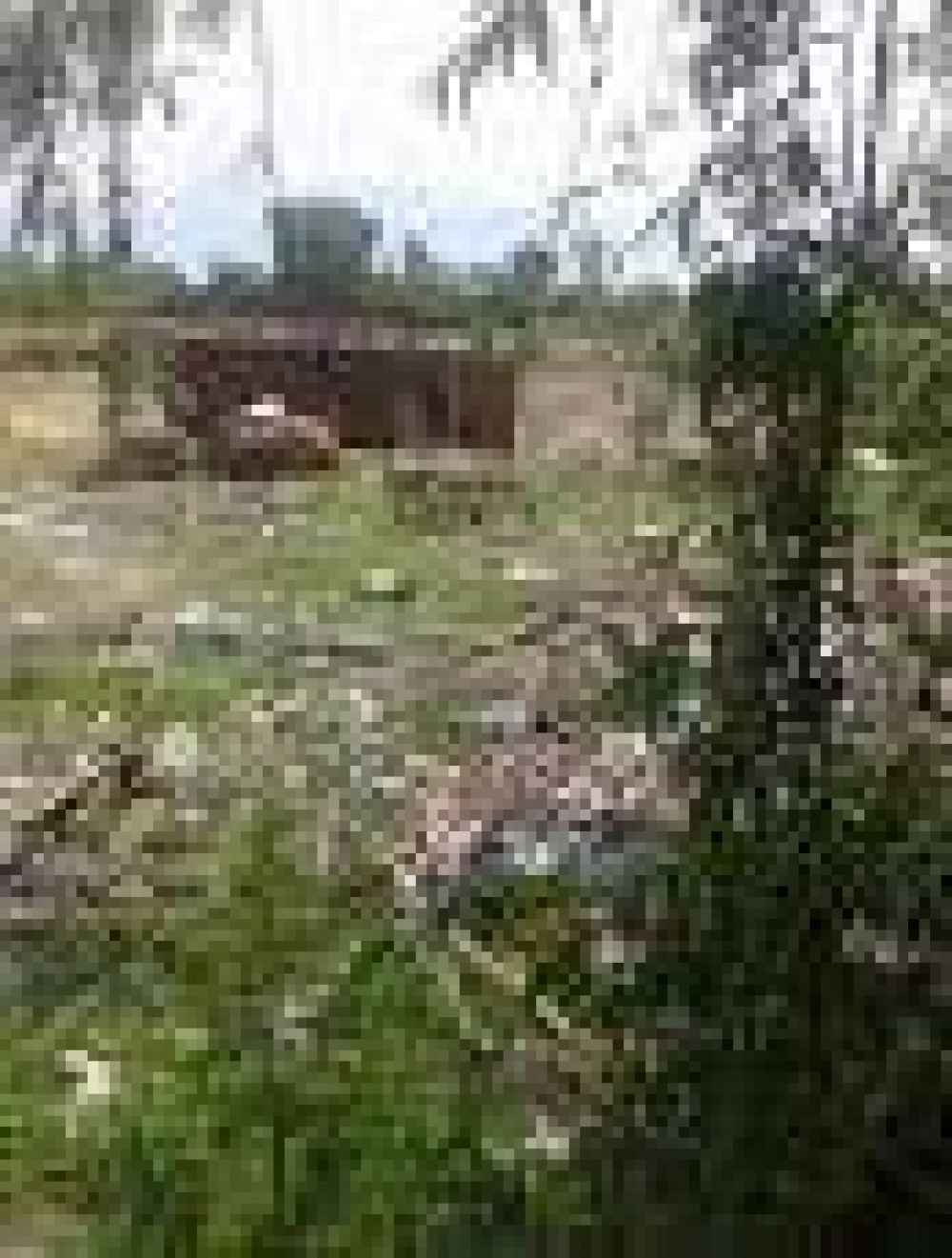 La Plata: Basural en lo que deber�a ser el campo de deportes de una escuela de Tolosa