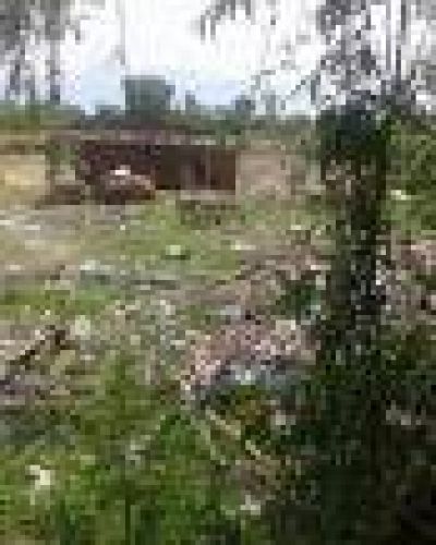 La Plata: Basural en lo que deber�a ser el campo de deportes de una escuela de Tolosa