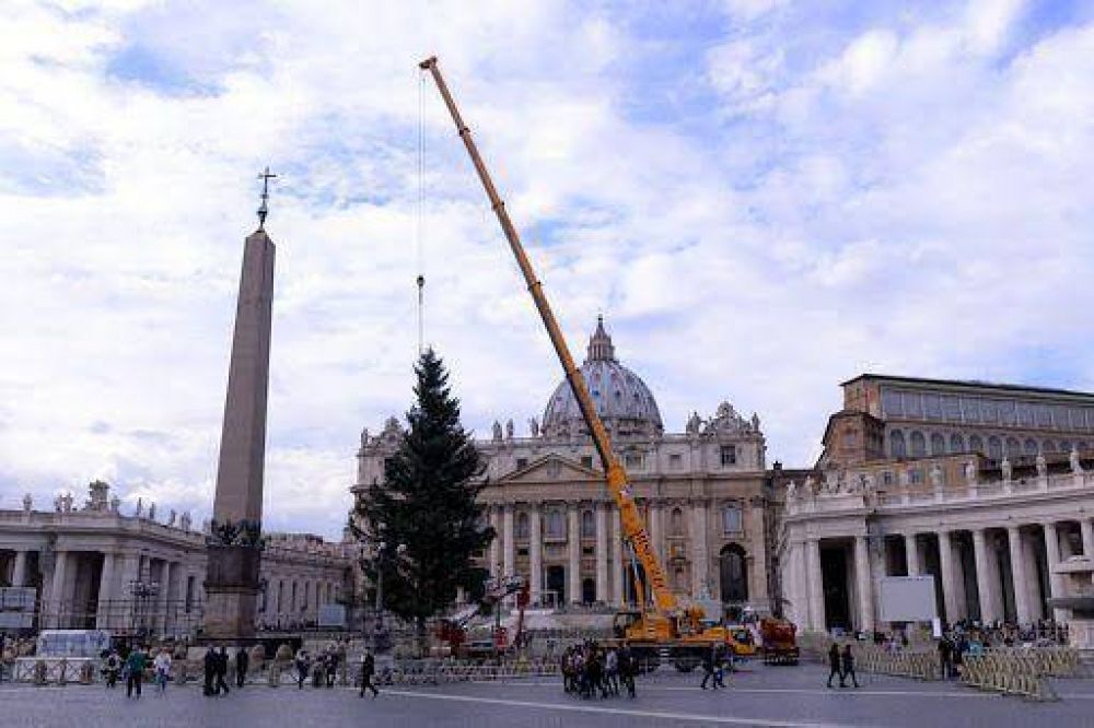 Nios decoran las bolas del rbol navideo del Vaticano