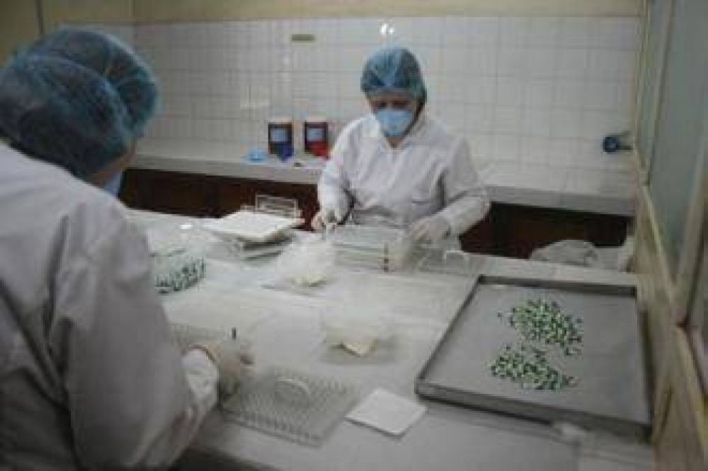 Salta se adhiere a la Ley Nacional sobre investigacin y produccin pblica de medicamentos