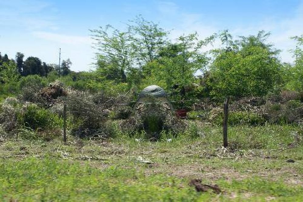 Toma de terrenos en Los Gallitos: la Municipalidad realiz la denuncia ante la Fiscala
