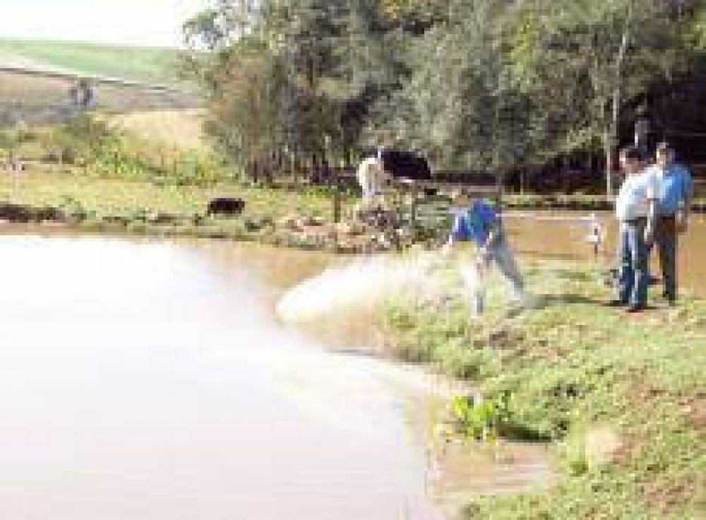 Anualmente se comercializan cerca de 300 toneladas de pescados producidos en la provincia