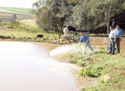 Anualmente se comercializan cerca de 300 toneladas de pescados producidos en la provincia