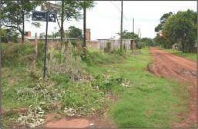 Piden arreglo y limpieza de las calles 156 y Sarratea