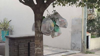 Recolectores de residuos de La Plata iniciaron paro y se teme crisis sanitaria