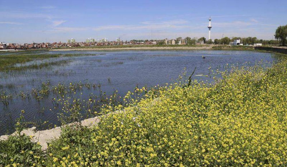 El Lago Soldati recupera su ecosistema original